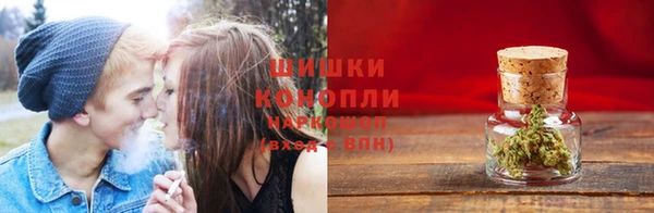 гидропоника Нязепетровск