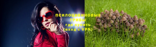 каннабис Алзамай
