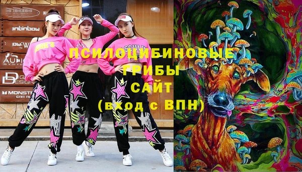 индика Дмитровск