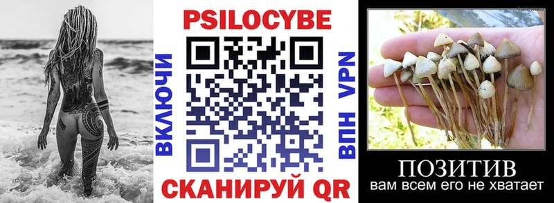 Галлюциногенные грибы мицелий это телеграм Новая Ладога